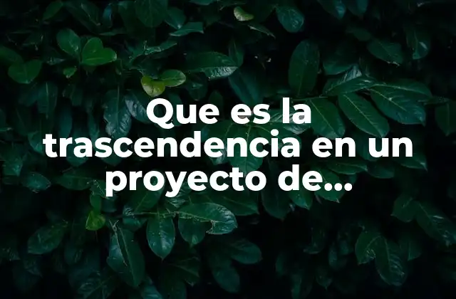 Que es la Trascendencia en un Proyecto de Investigacion