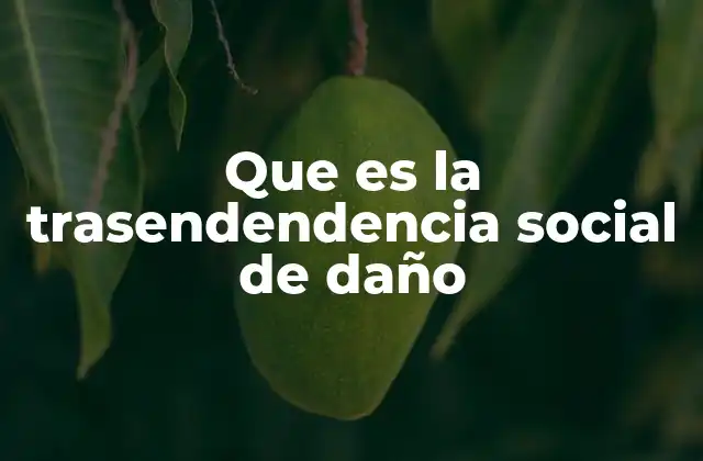 Que es la Trasendendencia Social de Daño