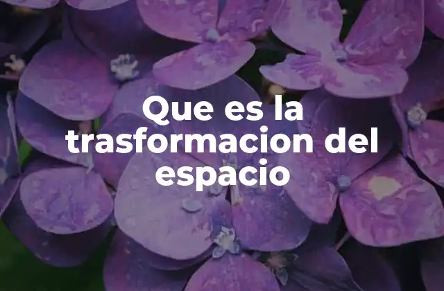 Que es la Trasformacion Del Espacio