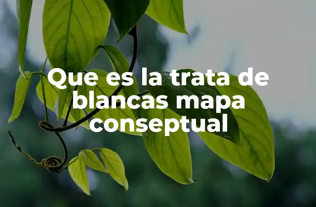 Que es la Trata de Blancas Mapa Conseptual
