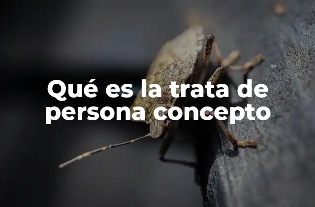 Qué es la Trata de Persona Concepto