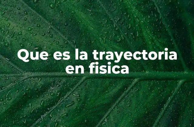 Que es la Trayectoria en Fisica