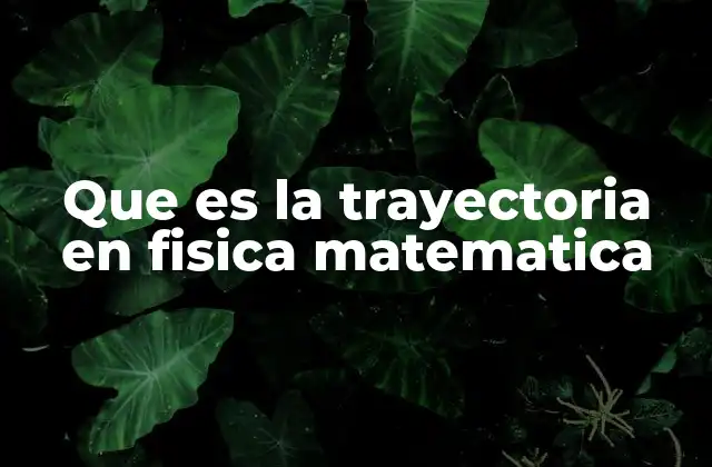 Que es la Trayectoria en Fisica Matematica 2 La importancia de analizar caminos en el espacio
