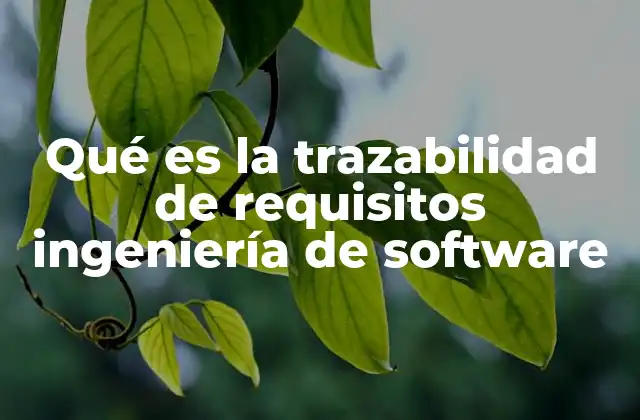 Qué es la Trazabilidad de Requisitos Ingeniería de Software