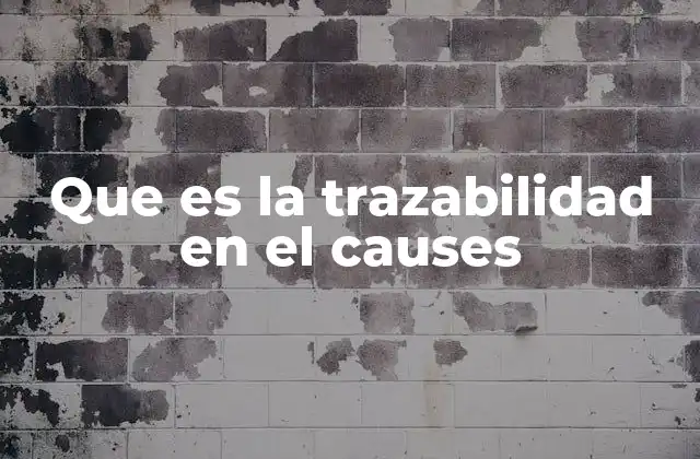 Que es la Trazabilidad en el Causes