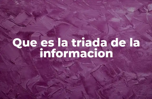 Que es la Triada de la Informacion