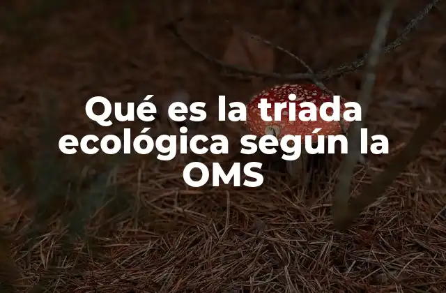 El enfoque ecológico en la salud pública