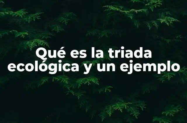La base de los ecosistemas y su dinámica interna