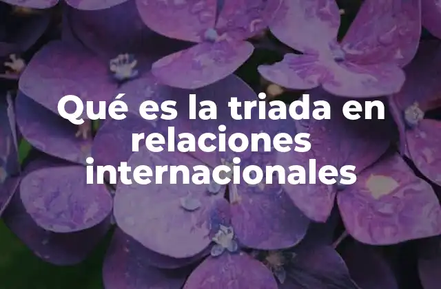 Qué es la Triada en Relaciones Internacionales