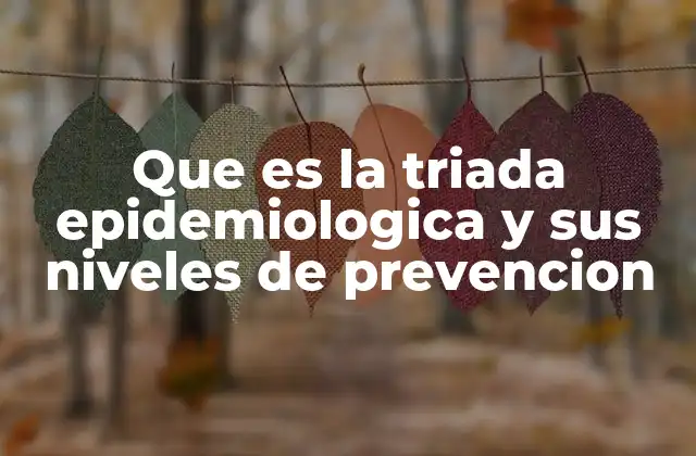 Que es la Triada Epidemiologica y Sus Niveles de Prevencion
