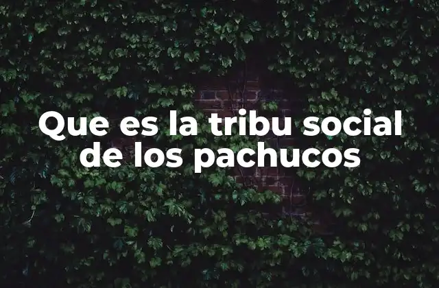 Que es la Tribu Social de los Pachucos