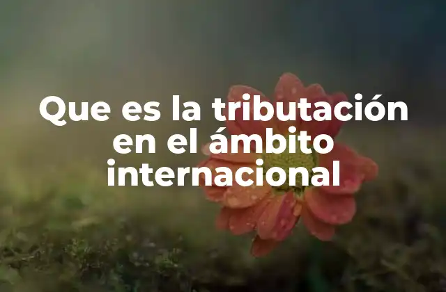 Que es la Tributación en el Ámbito Internacional
