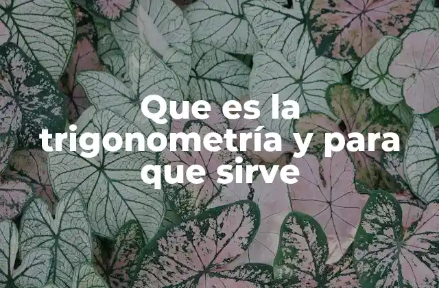 Que es la Trigonometría y para que Sirve