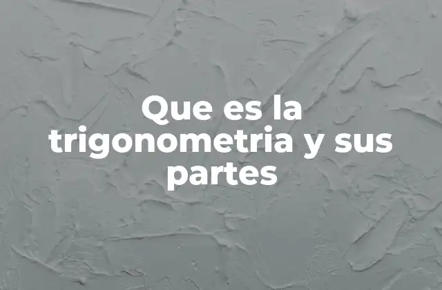 Que es la Trigonometria y Sus Partes