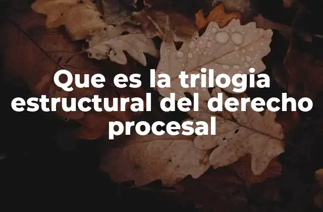 Que es la Trilogia Estructural Del Derecho Procesal
