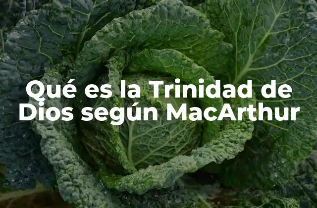 Qué es la Trinidad de Dios según Macarthur