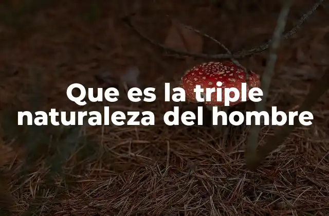 Que es la Triple Naturaleza Del Hombre
