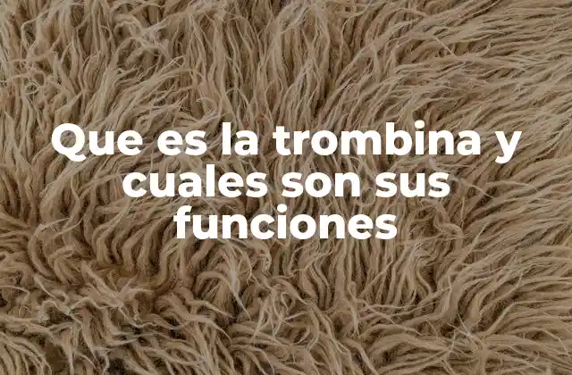 Que es la Trombina y Cuales Son Sus Funciones 2 El papel de la trombina en la homeostasis sanguínea