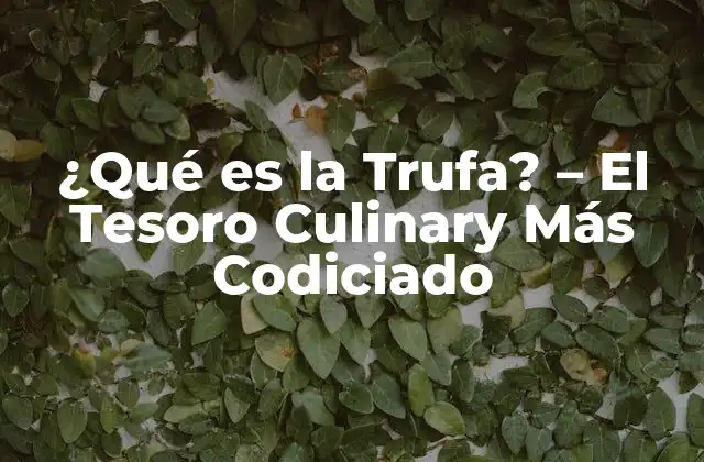 ¿qué es la Trufa? – el Tesoro Culinary Más Codiciado