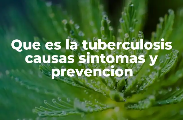 Que es la Tuberculosis Causas Sintomas y Prevencion