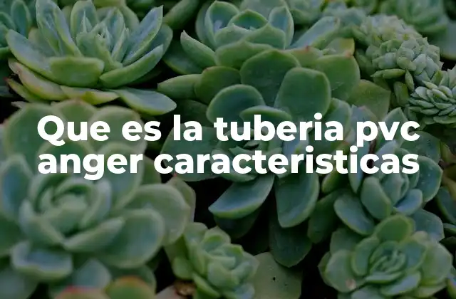 Que es la Tuberia Pvc Anger Caracteristicas