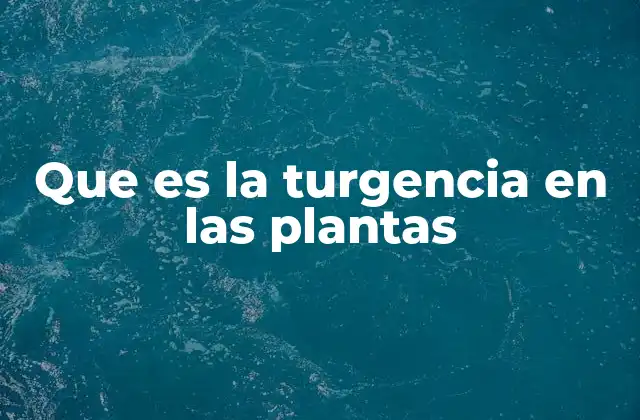 Que es la Turgencia en las Plantas