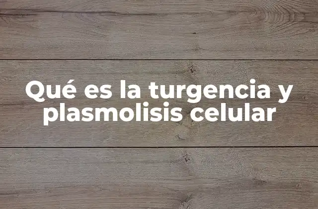 Qué es la Turgencia y Plasmolisis Celular