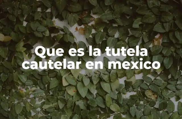Que es la Tutela Cautelar en Mexico