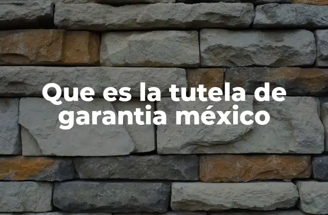 Que es la Tutela de Garantia México