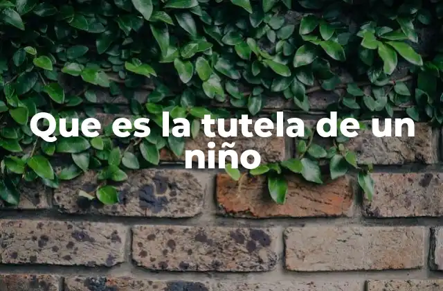 Que es la Tutela de un Niño
