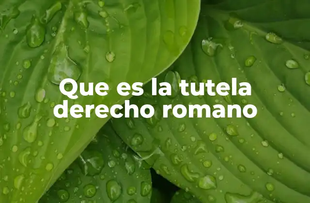 Que es la Tutela Derecho Romano