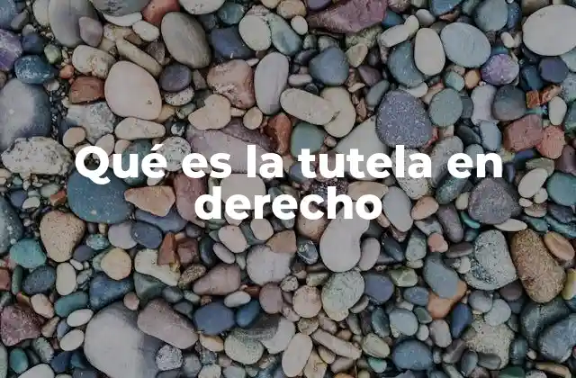 Qué es la Tutela en Derecho