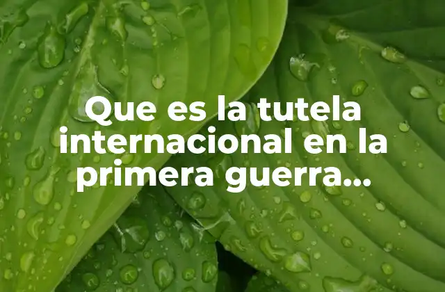 Que es la Tutela Internacional en la Primera Guerra Mundial