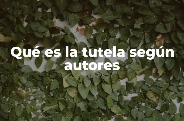 Qué es la Tutela según Autores