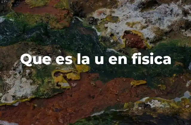 Que es la u en Fisica
