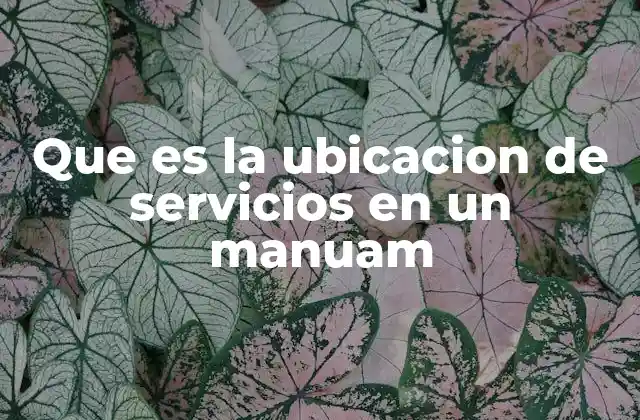 Que es la Ubicacion de Servicios en un Manuam