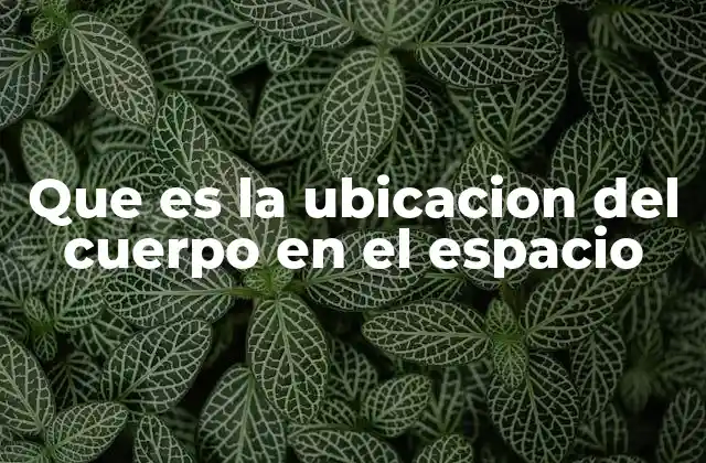Que es la Ubicacion Del Cuerpo en el Espacio