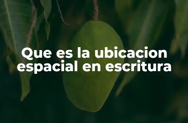 Que es la Ubicacion Espacial en Escritura