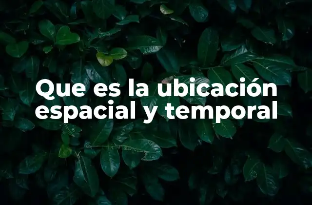 Que es la Ubicación Espacial y Temporal
