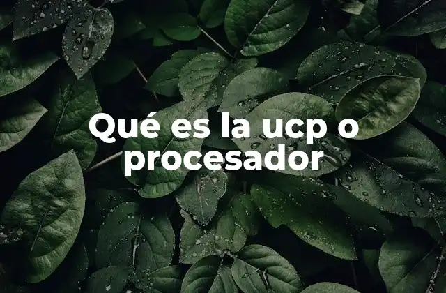 Qué es la Ucp o Procesador