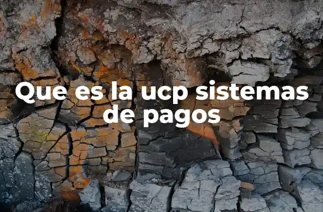 Que es la Ucp Sistemas de Pagos