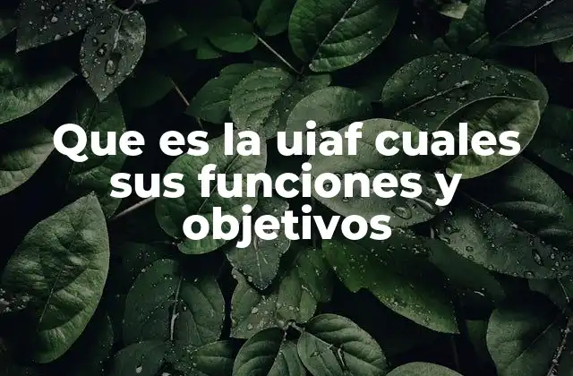 Que es la Uiaf Cuales Sus Funciones y Objetivos
