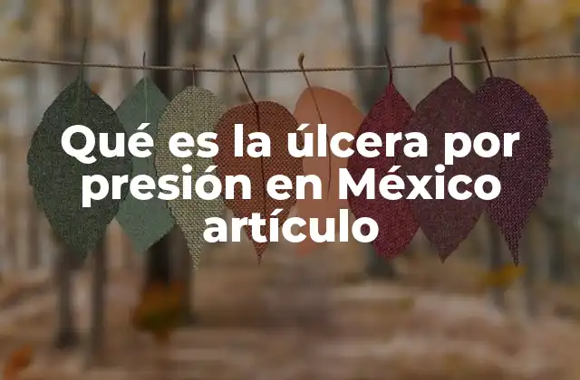 Qué es la Úlcera por Presión en México Artículo