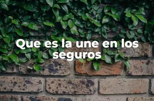 Que es la Une en los Seguros