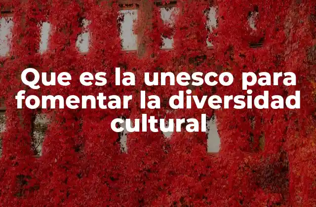 Que es la Unesco para Fomentar la Diversidad Cultural