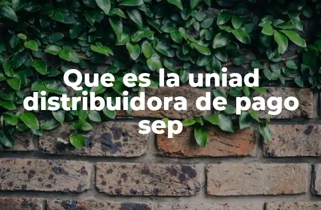 Que es la Uniad Distribuidora de Pago Sep 2 El papel de la UDP en la gestión escolar