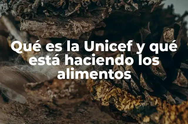 Qué es la Unicef y Qué Está Haciendo los Alimentos
