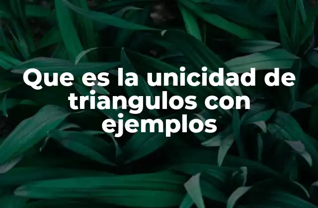 Que es la Unicidad de Triangulos con Ejemplos