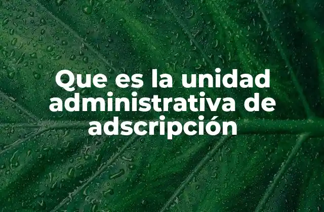 Que es la Unidad Administrativa de Adscripción