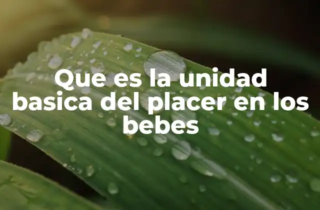 Que es la Unidad Basica Del Placer en los Bebes